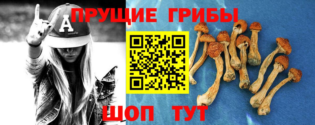 Псилоцибиновые грибы мицелий  Вход с VPN  Анапа 